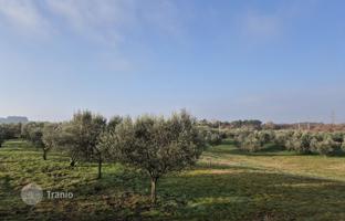 Land plot 1,423 m² in Buje for 250,000 €