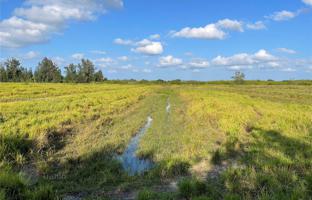 Farm 125,000 m² in Fort Pierce for $750,000