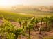 Investment land in Alicante for 4,500,000 €