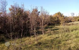 Land plot 1,362 m² in Istria County for 137,000 €