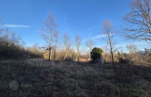 Land plot 7,842 m² in Istria County for 240,000 €