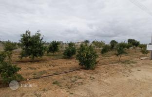 Farm 100,073 m² in Guia for 7,500,000 €