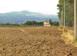 Investment land in Grosseto (city) for 3,600,000 €