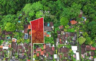 Land plot 7,000 m² in Ubud for $2,252,000