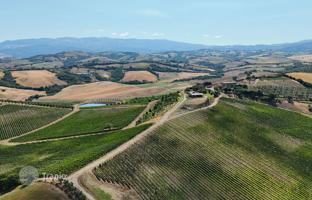 Farm 500 m² in Campagnatico for 3,490,000 €