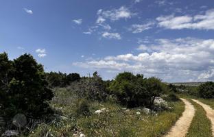 Farm 48,000 m² in Zadar County for 1,100,000 €