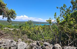 Land plot 3,874 m² in Osor for 100,000 €